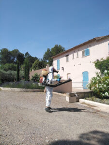 Luxury Pest Treatment