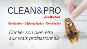 Clean & Pro Services 4D