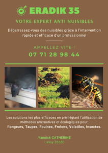 Eradik 35 Extermination des nuisibles, Dératisation, Désinsectisation, Destruction des nids de Guêpes et Frelon, Taupier