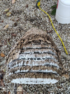 H L Services