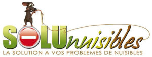 SOLUNUISIBLES