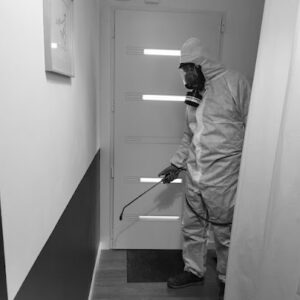M2B Biosolution – Dératisation Rennes