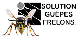 Solution Guêpes Frelons