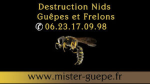 Mister Guepe