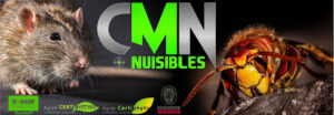 CMNuisibles = Dératisation – Désinsectisation – Taupier – Guêpe – Frelon