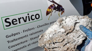 Servico