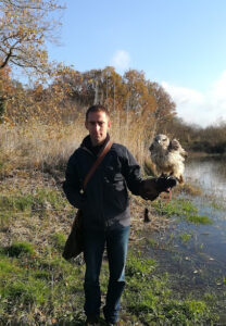 Stop nuisible Des ailes en brenne