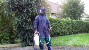 halte aux guêpes 14