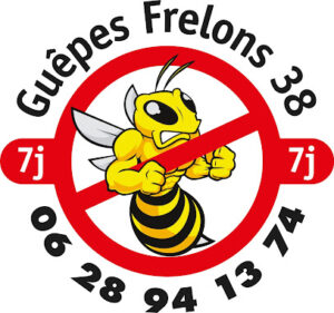 Guêpes Frelons 38