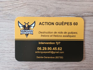 Action Guêpes 60