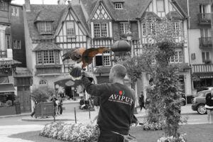 AVIPUR – NORD OUEST