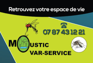 Moustic Var Service