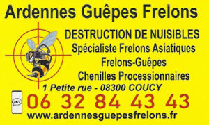 Ardennes Guêpes Frelons