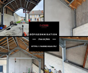 NGAN Entreprise de Dératisation-Désinsectisation-Désinfection