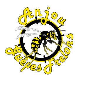 Anjou Guêpes Frelons