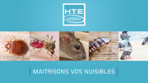 HTE SANITATION Vitrolles Dératisation Désinsectisation Désinfection
