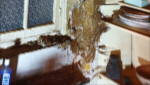 PAMI 12 – Traitement Bois – Termites