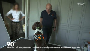 Punaises Expert Lyon – Détection Canine de Punaises de Lits