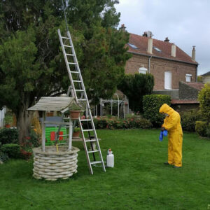 ABEILLES NUISIBLE CONTROL