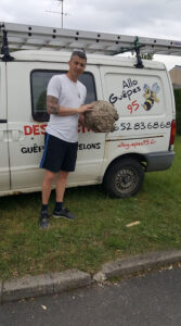 Allo Guêpes 95