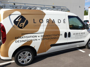 Loradé – Dératisation, Désinsectisation, Désinfection, Dépigeonnage