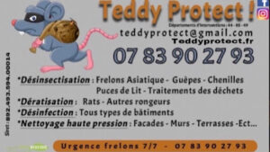 Teddy Protect
