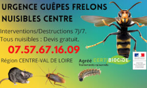 URGENCE guêpes frelons NUISIBLES CENTRE