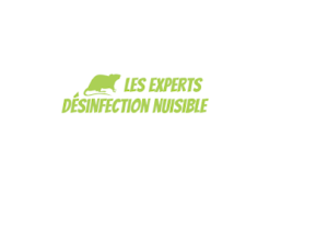 Les Experts Désinfection Nuisible
