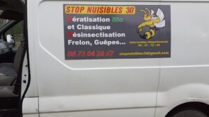 STOP NUISIBLES 3D Deratisation désinsectisation frelon guêpes