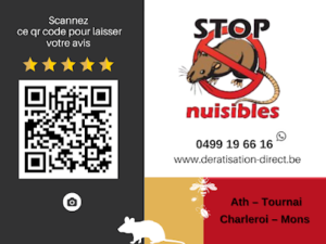 Stop Nuisibles – Dératisation direct