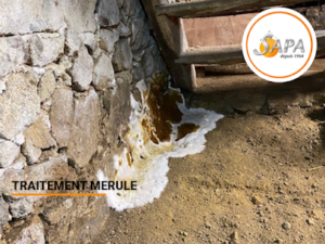 SAPA 19 Traitement Bois Termites