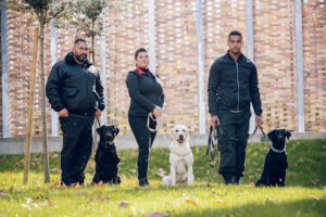 ASDC – Détection Canine de punaises de lit
