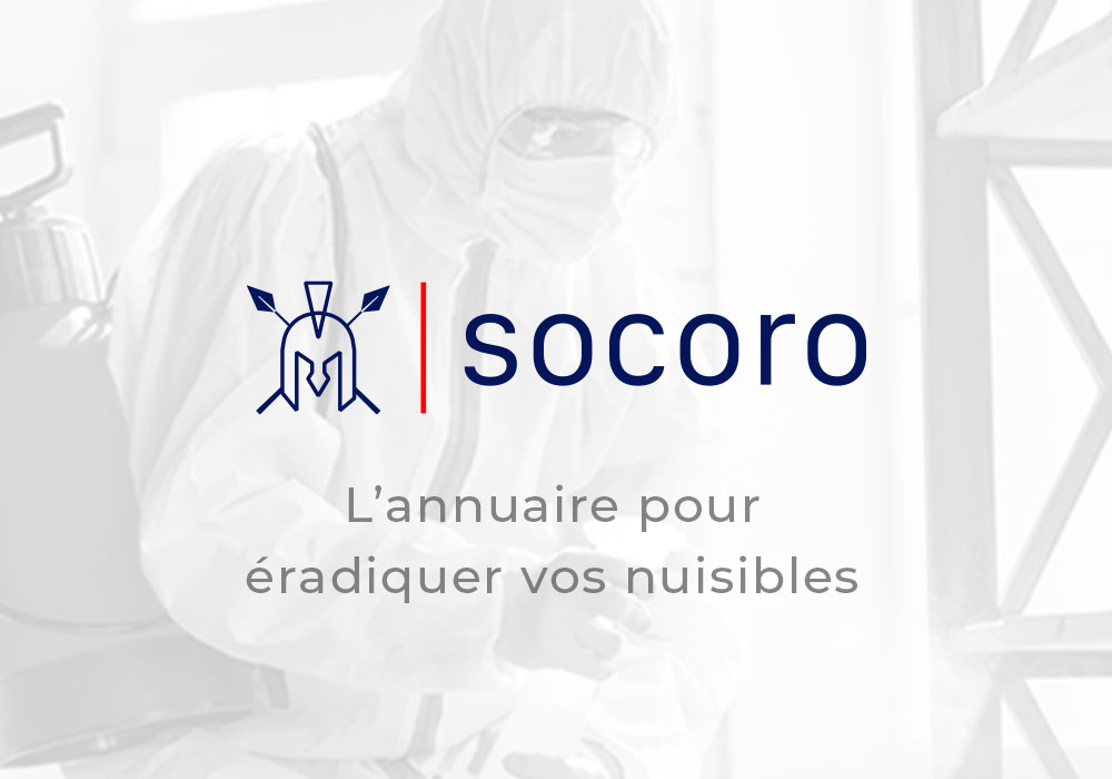 socoro-pas-dimage-prestataire-121.jpg