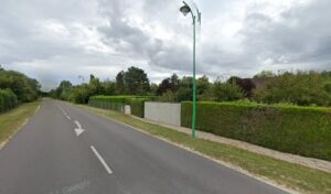 ACP Lutte nuisibles frelons, guêpes…