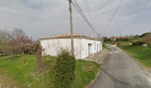SOS guepes et frelons 47