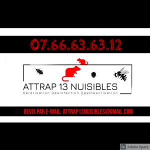 Attrap13Nuisibles